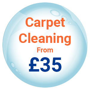 Carpet Cleaning