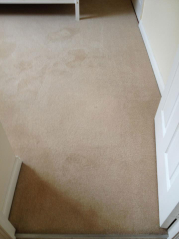 Malvern Carpet Cleaners